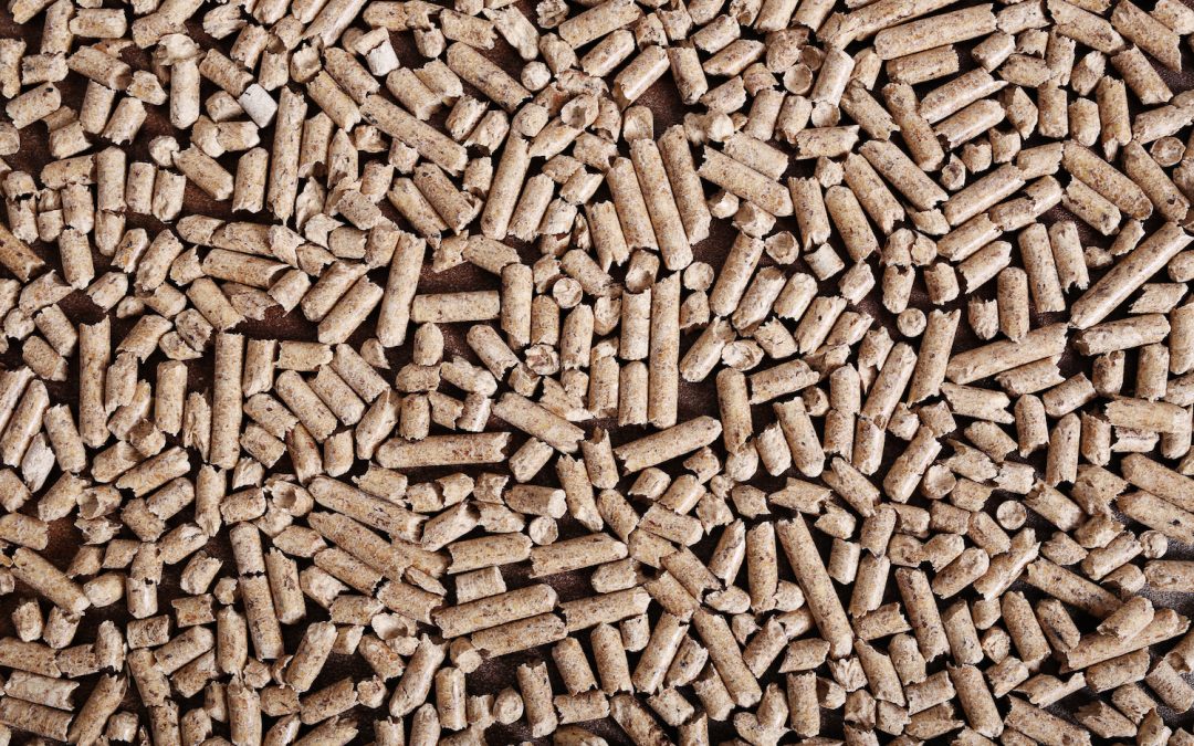 Enhancing animal nutrition with quality ingredients