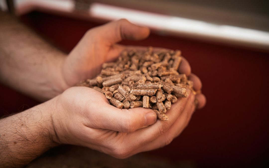 The importance of a balanced diet in animal production performance