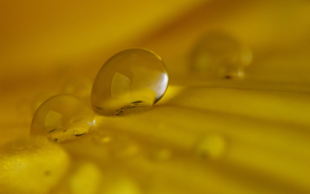 The power of linoleic acid and oleic acid in animal nutrition