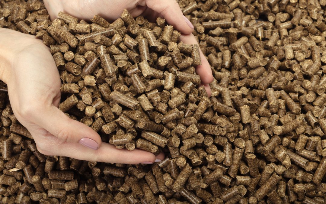 Functional ingredients in animal nutrition: beyond nutrition