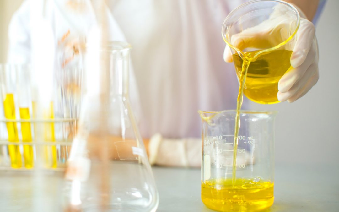 Animal nutrition technical consultancy: added value for your business