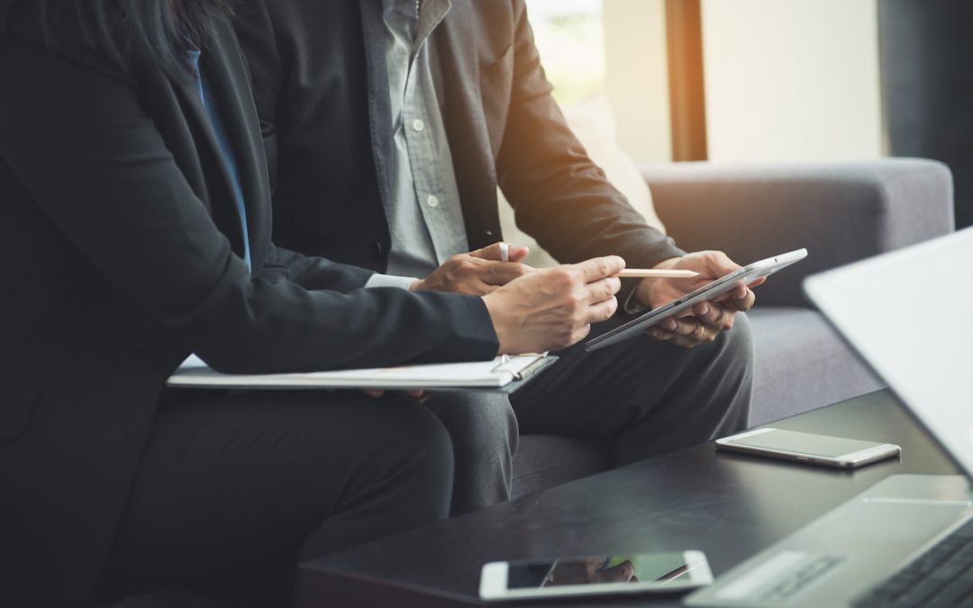 Beyond raw materials: the value of consulting in animal and human nutrition